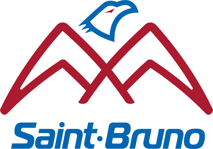 HockeySaint-Bruno.ca